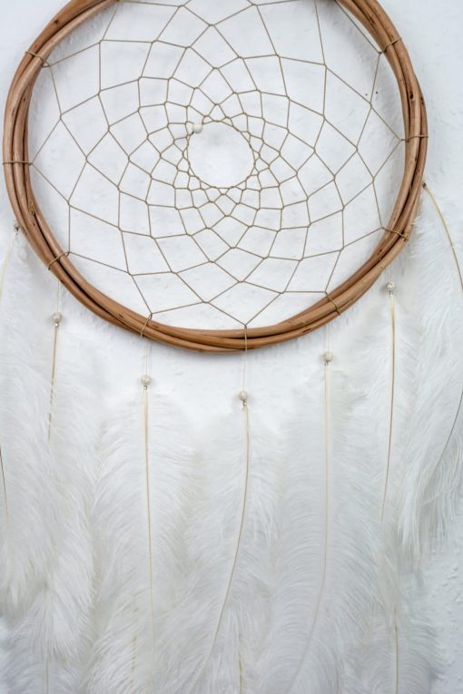 Closeup of Long White Ostrich Feather Wall Hanging Dream Catcher
